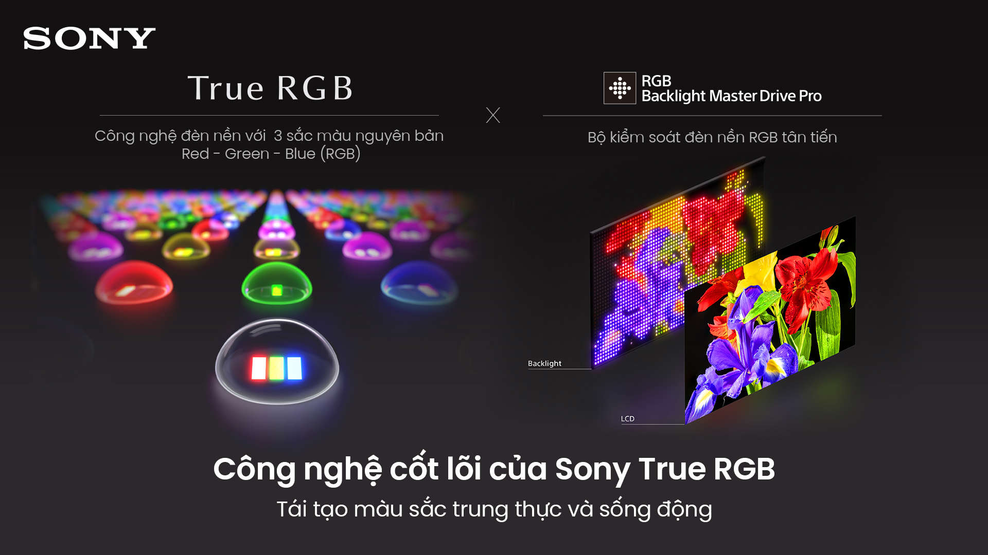 công nghệ RGB Backlight Master Drive Pro